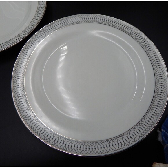 Tirschenreuth Bavaria The Elgin Dinner Plates Set of 4 Germany 10 Inch Silver - Picture 5 of 11